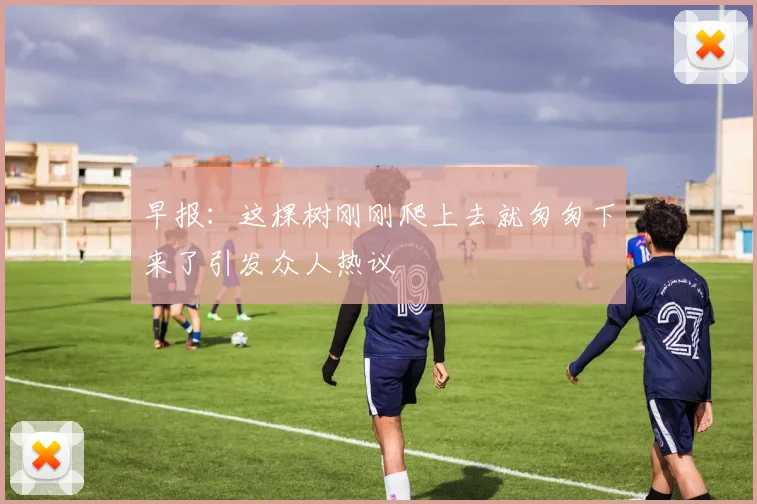 早报：这棵树刚刚爬上去就匆匆下来了引发众人热议