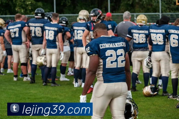 App Interface Preview